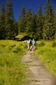 24h Hike Mammut_Ochsner 'Meiringen_Grosse Scheidegg 1962m' 18_08_2012 (120)